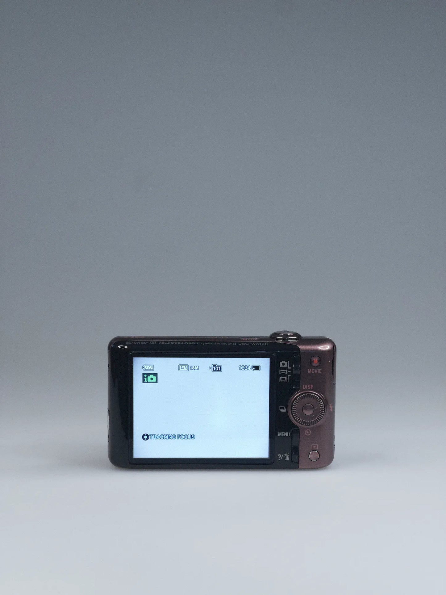 Sony Cyber-shot DSC-WX100