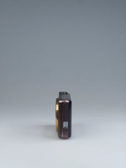 Sony Cyber-shot DSC-WX100