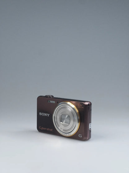 Sony Cyber-shot DSC-WX100