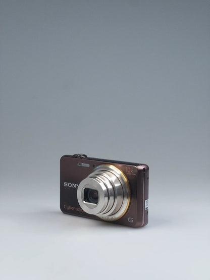 Sony Cyber-shot DSC-WX100