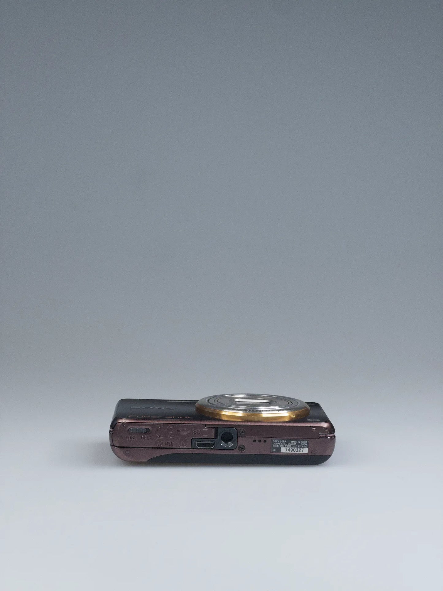 Sony Cyber-shot DSC-WX100