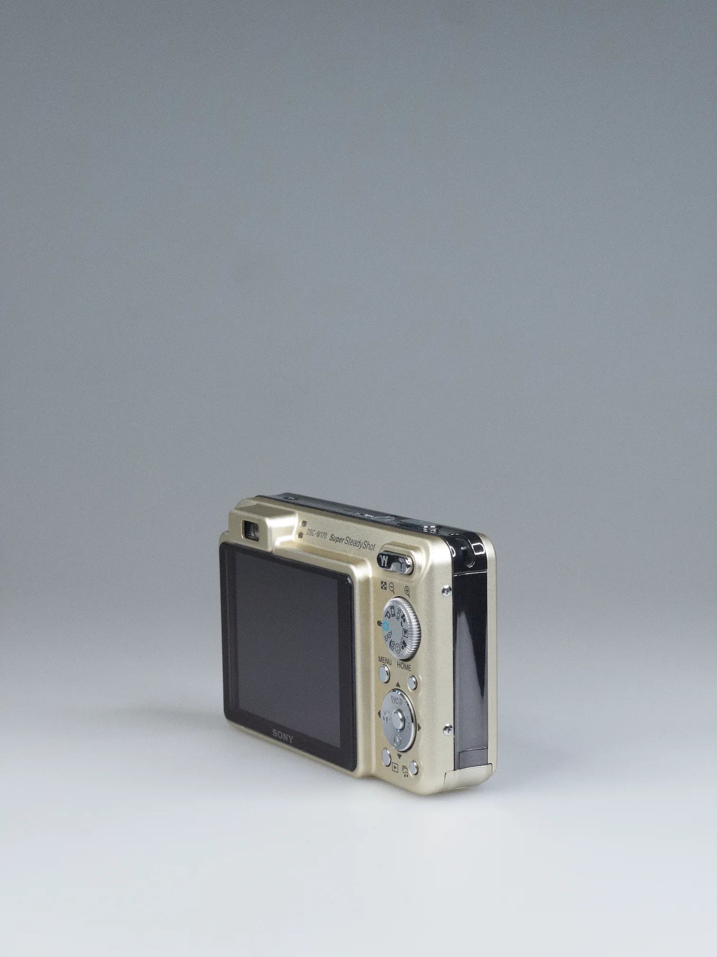 Sony Cyber-shot DSC-W170