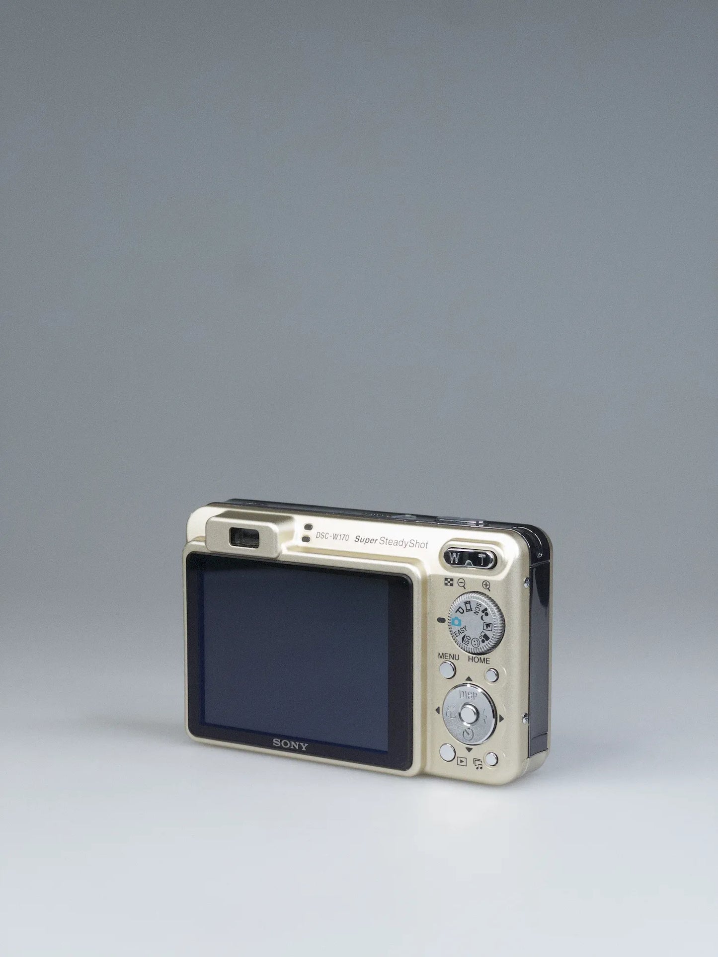 Sony Cyber-shot DSC-W170